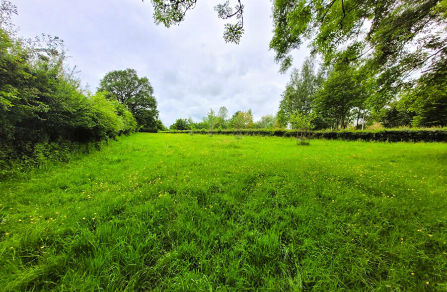 Maison Villereau 6 pièce(s) 121 m2