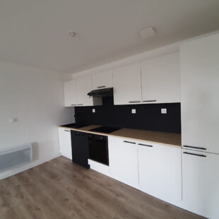 Appartement T3 en Duplexe centre ville