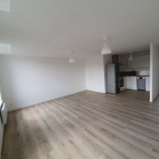 Appartement T2 en centre ville