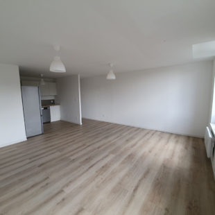 Appartement T2 en centre ville