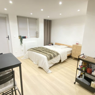 VIEUX-LILLE STUDIO RENOVE DE 19 m2 AVEC TERRASSE