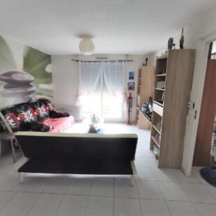 Appartement T2 avec terrasse + 1 Parking