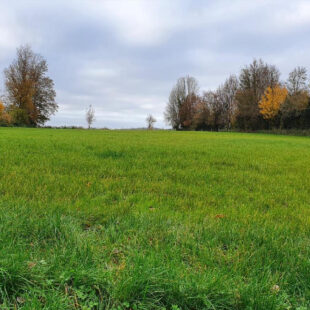 Terrain de 4577 m2 à HUMIERES