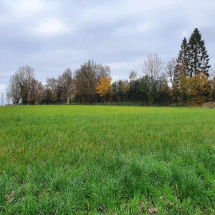 Terrain de 4577 m2 à HUMIERES