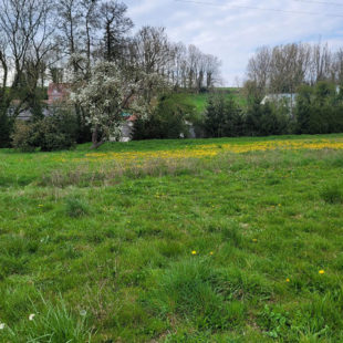 Terrain constructible de  2735m²