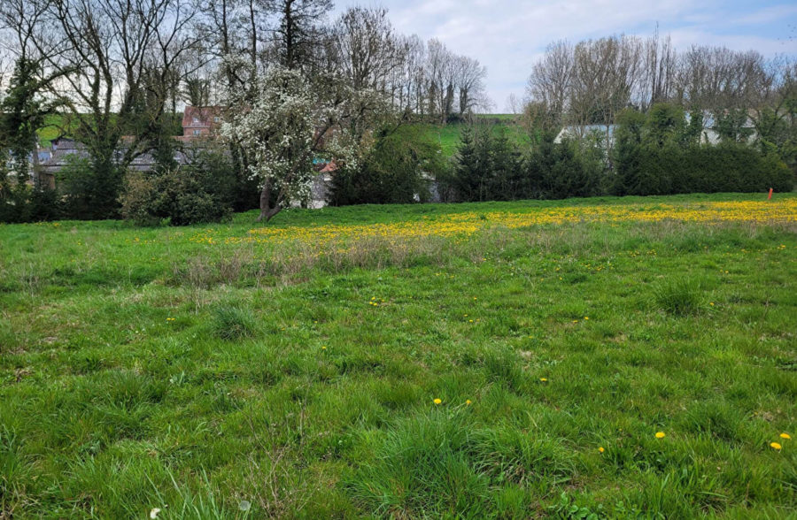 Terrain constructible de  2735m²