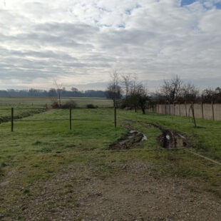 Terrain Mazinghem 1275 m2