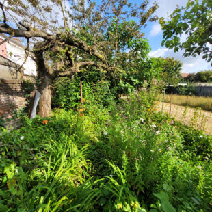 Maison de ville offrant de beaux volumes, un jardin et un garage non attenant