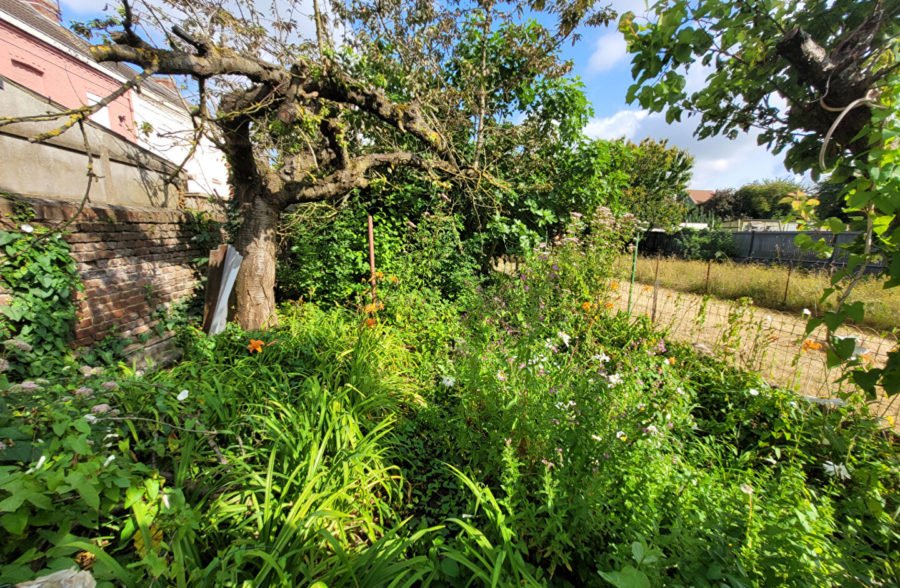Maison de ville offrant de beaux volumes, un jardin et un garage non attenant