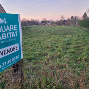 Terrain Brillon 728 m2