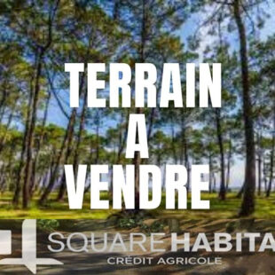 Terrain Brillon 728 m2
