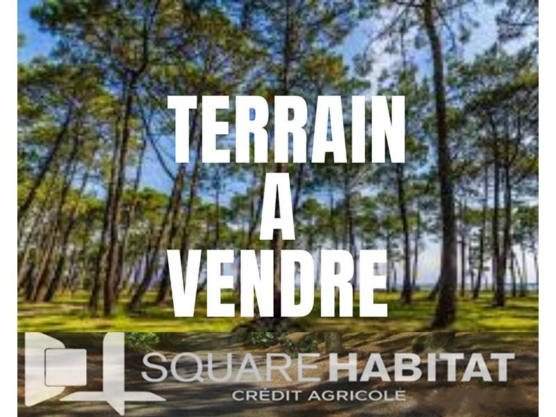 Terrain Brillon 728 m2