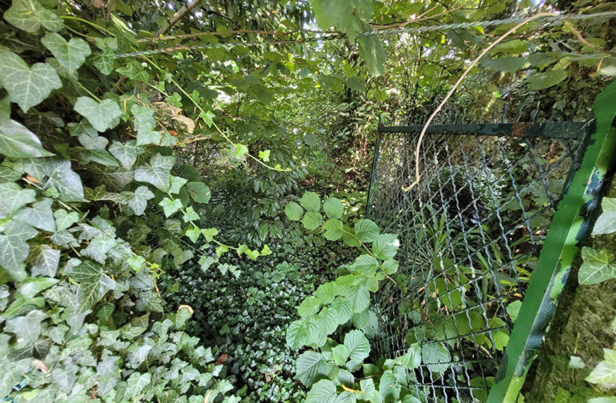 Maison Fontaine Au Pire 3 pièce(s) 65 m2