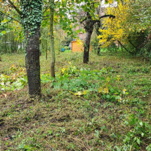 Terrain constructible d’environ 1440 m2