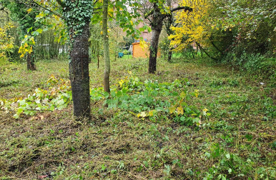 Terrain constructible d’environ 1440 m2