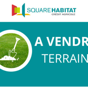 TERRAIN 701 m²