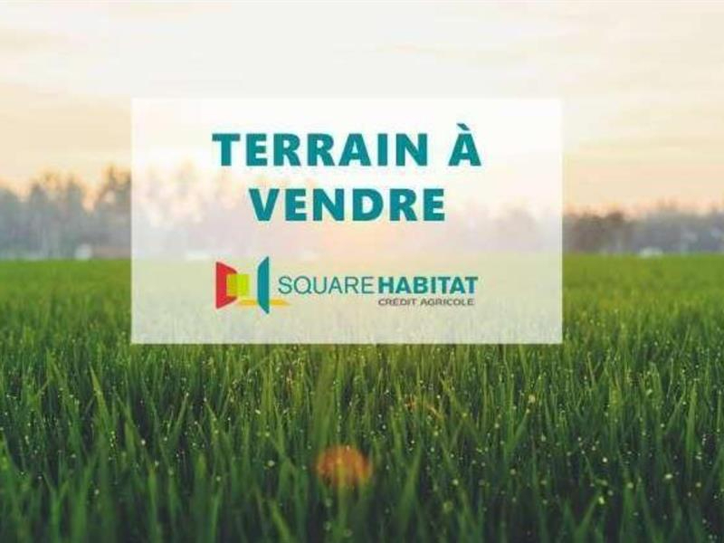 Terrain Conde Sur L Escaut 782 m2