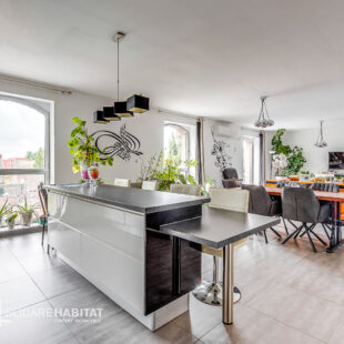 loft 3 pièces 111 m2  complètement rénové + place de parking Privée sur Roubaix
