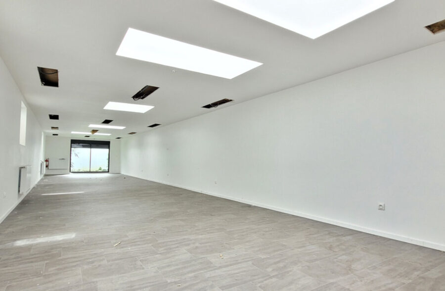 Immeuble Loos 224 m2