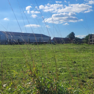 Terrain Gouy Servins 511 m2