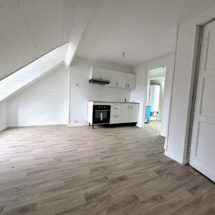 Lille – Fives – Appartement  4 pièces