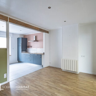 Coquette maison Halluin