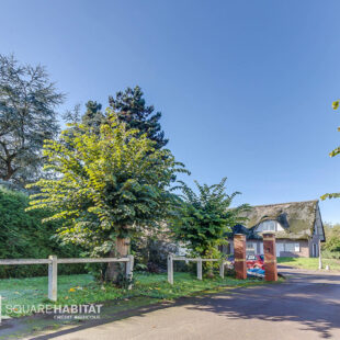 Propriété Faches Thumesnil 7 pièce(s) 355 m2