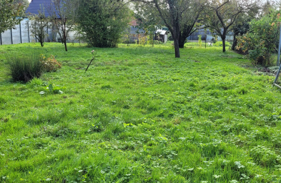 Exclusivité Square Habitat TERRAIN