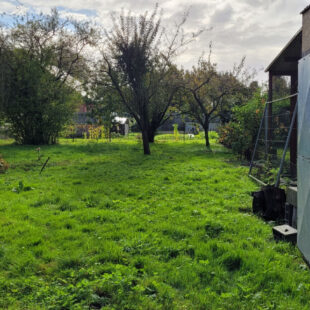 Exclusivité Square Habitat TERRAIN