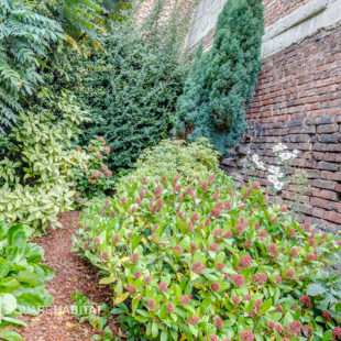 Maison  5 pièces avec jardin  Tourcoing