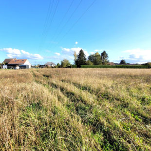 TERRAIN CAMBRAI