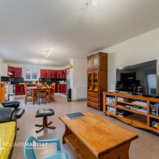 lot de 2 habitations sur Violaines