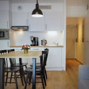 Appartement Boulogne Sur Mer 3 pièce(s) 42 m2