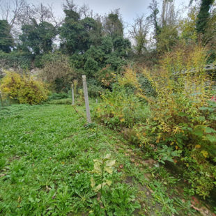 Maison semi individuelle, jardin, garage