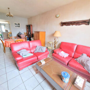 Maison Faches-thumesnil avec garage
