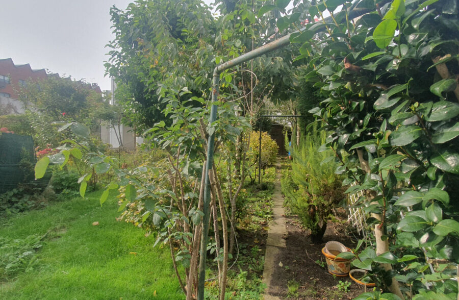 Maison secteur hopitale Prouvost Roubaix 4 pièces 96 m2