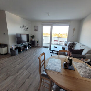 SUPERBE APPARTEMENT RECENT AU PARC