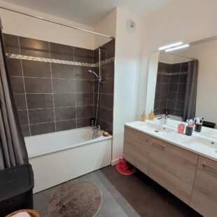 SUPERBE APPARTEMENT RECENT AU PARC