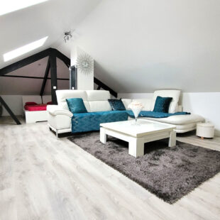 Maison Lambersart 5 pièce(s) 160 m2