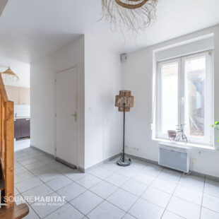Maison Lille 2 pièce(s) 40 m2 cour 10m2