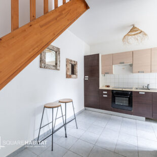 Maison Lille 2 pièce(s) 40 m2 cour 10m2