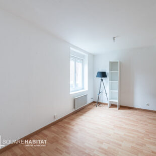 Maison Lille 2 pièce(s) 40 m2 cour 10m2