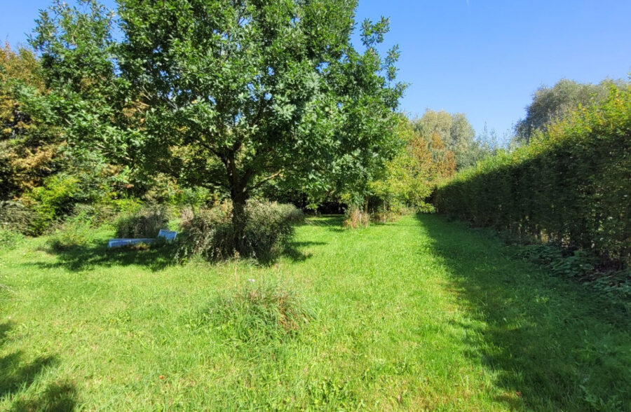 Terrain avec bâtiment à réhabiliter