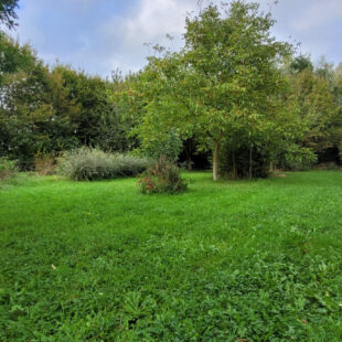 Terrain avec bâtiment à réhabiliter