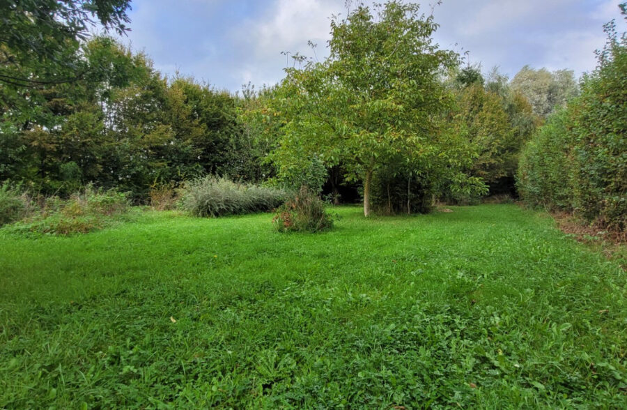 Terrain avec bâtiment à réhabiliter