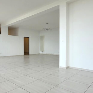 Loft Orchies133 m2