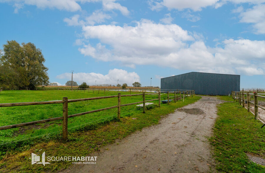 Propriété equestre Violaines
