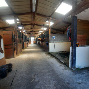 Propriété equestre Violaines