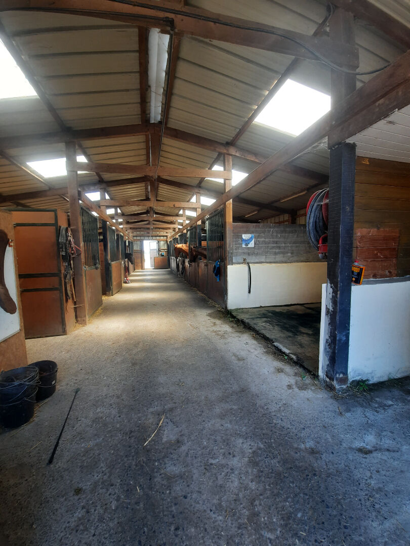 Propriété equestre Violaines