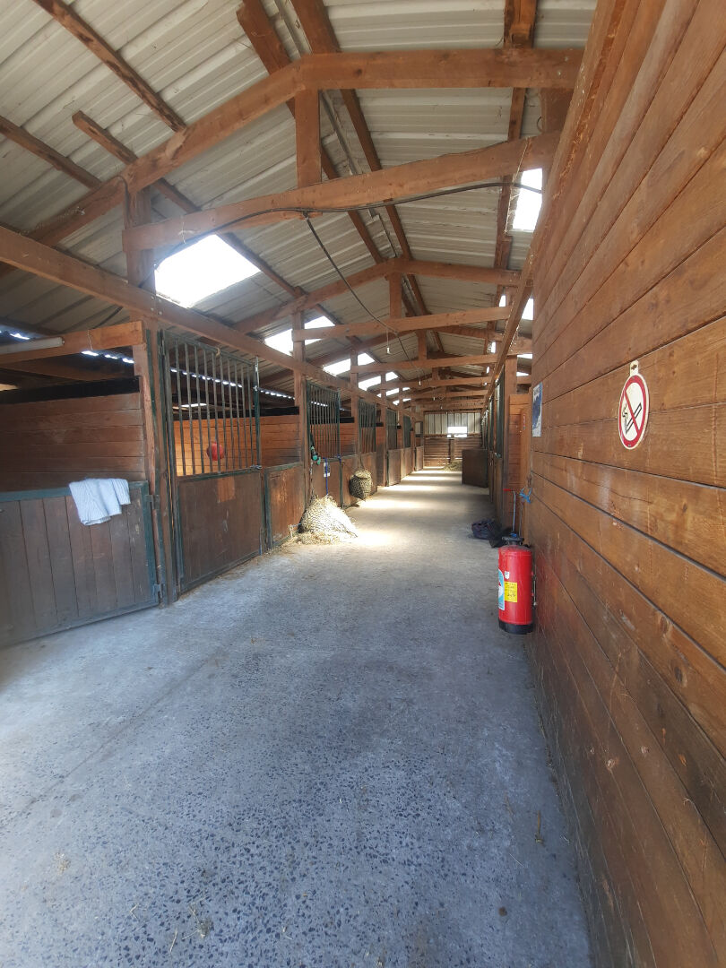 Propriété equestre Violaines